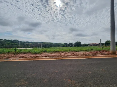 Terreno / Padrão em São José do Rio Preto 