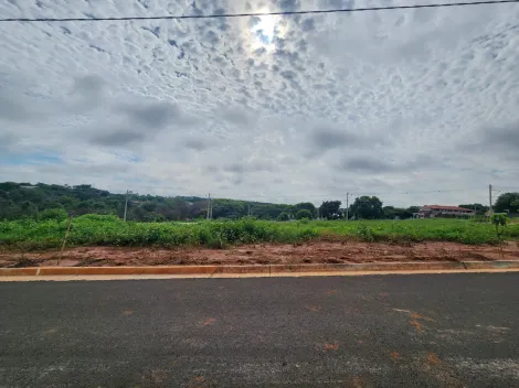 Terreno / Padrão em São José do Rio Preto 