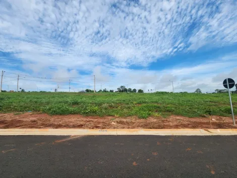 Terreno / Padrão em São José do Rio Preto 