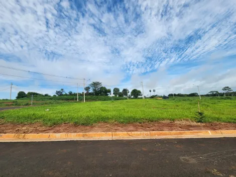 Terreno / Padrão em São José do Rio Preto 