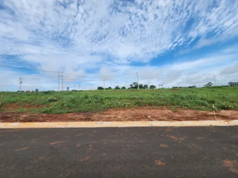 Terreno / Padrão em São José do Rio Preto 