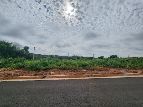 Alugar Terreno / Padrão em São José do Rio Preto. apenas R$ 90.000,00