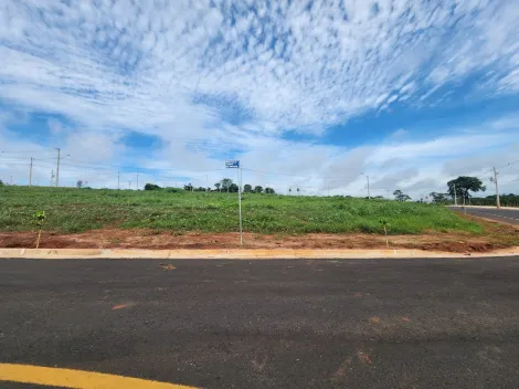 Alugar Terreno / Padrão em São José do Rio Preto. apenas R$ 94.000,00