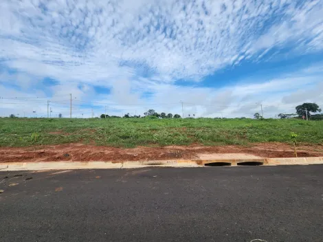 Terreno / Padrão em São José do Rio Preto 