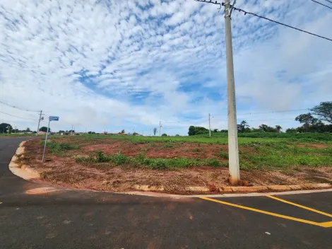 Terreno / Padrão em São José do Rio Preto 