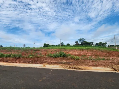 Terreno / Padrão em São José do Rio Preto 