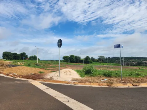 Terreno / Padrão em São José do Rio Preto 