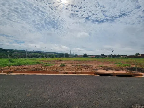 Terreno / Padrão em São José do Rio Preto 