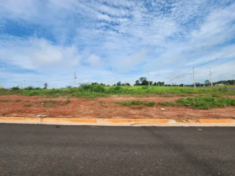 Terreno / Padrão em São José do Rio Preto 