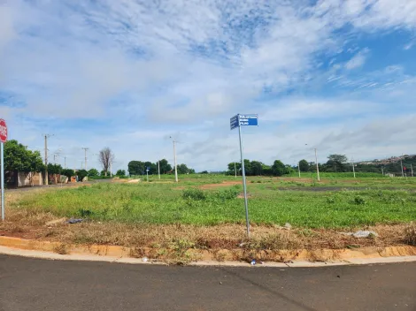 Terreno / Padrão em São José do Rio Preto 