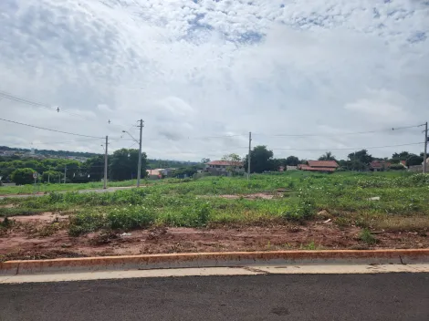 Terreno / Padrão em São José do Rio Preto 