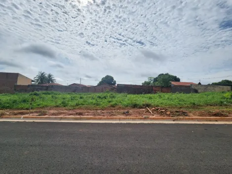 Terreno / Padrão em São José do Rio Preto 