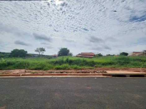 Terreno / Padrão em São José do Rio Preto 