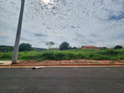 Terreno / Padrão em São José do Rio Preto 