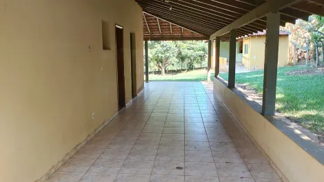 Comprar Rural / Chácara em Bady Bassitt apenas R$ 480.000,00 - Foto 6