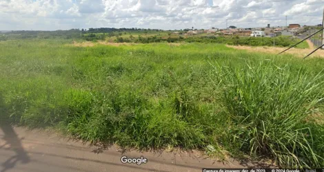 Terreno / Padrão em São José do Rio Preto 