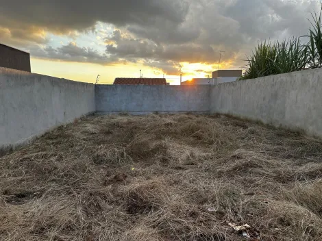 Comprar Terreno / Padrão em São José do Rio Preto apenas R$ 155.000,00 - Foto 2