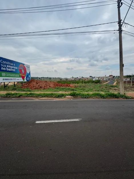 Terreno / Padrão em São José do Rio Preto 