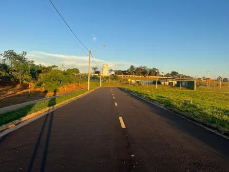 Terreno / Padrão em São José do Rio Preto 