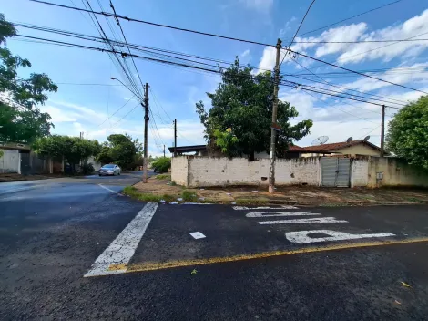 Casa / Padrão em São José do Rio Preto 