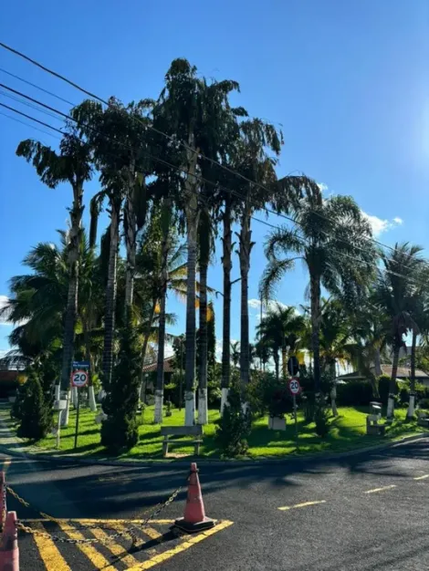 Comprar Casa / Condomínio em São José do Rio Preto apenas R$ 480.000,00 - Foto 9