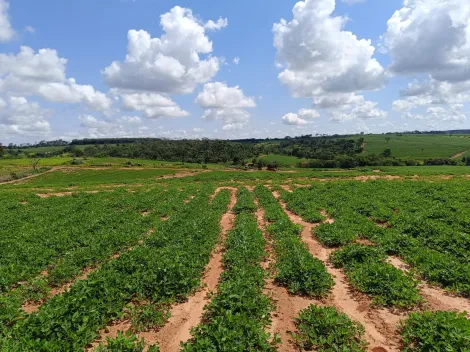 Comprar Rural / Fazenda em Tanabi apenas R$ 2.550.000,00 - Foto 2