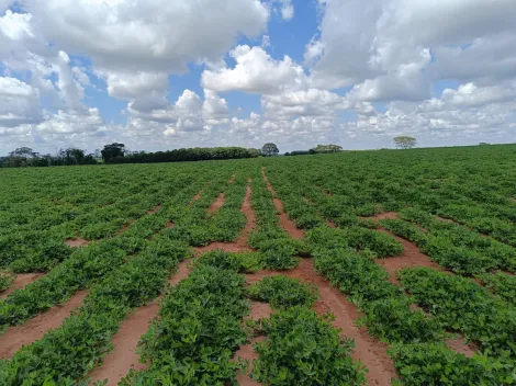 Comprar Rural / Fazenda em Tanabi apenas R$ 2.550.000,00 - Foto 3