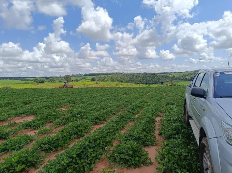 Comprar Rural / Fazenda em Tanabi apenas R$ 2.550.000,00 - Foto 4