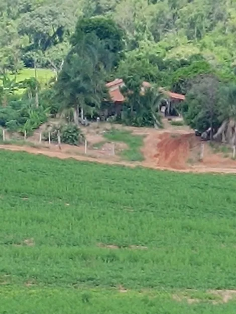 Comprar Rural / Fazenda em Tanabi apenas R$ 2.550.000,00 - Foto 5