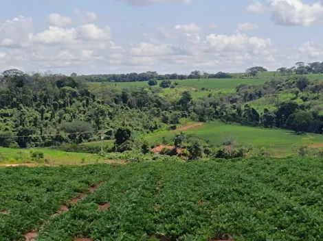 Comprar Rural / Fazenda em Tanabi apenas R$ 2.550.000,00 - Foto 6