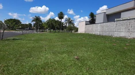 Comprar Terreno / Condomínio em São José do Rio Preto apenas R$ 500.000,00 - Foto 4