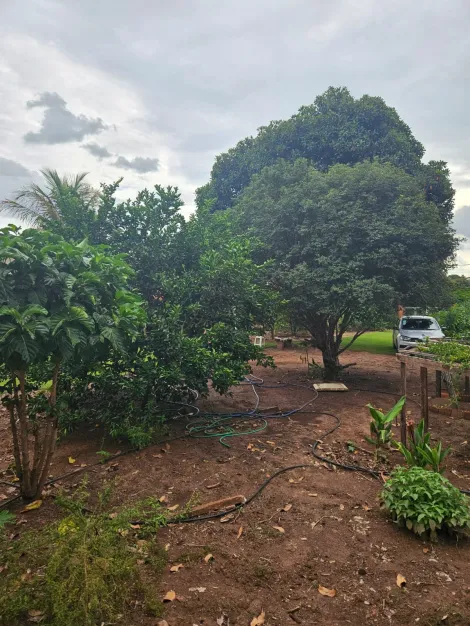 Comprar Rural / Chácara em São José do Rio Preto apenas R$ 270.000,00 - Foto 8