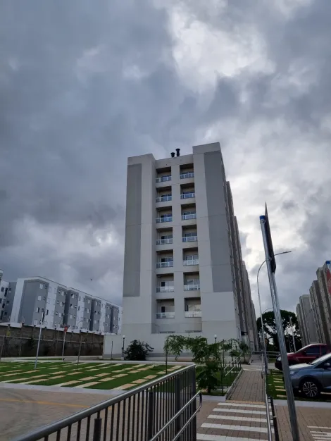 Alugar Apartamento / Padrão em São José do Rio Preto apenas R$ 1.000,00 - Foto 13