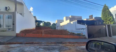 Terreno / Padrão em São José do Rio Preto 