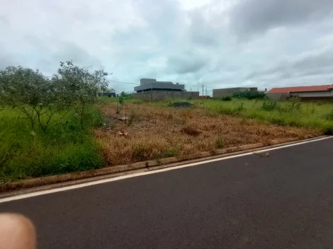 Terreno / Padrão em Mirassol 