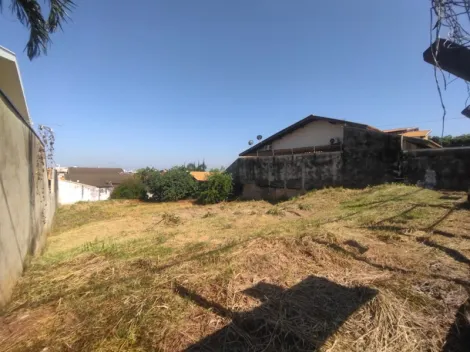 Comprar Terreno / Padrão em São José do Rio Preto apenas R$ 310.000,00 - Foto 3