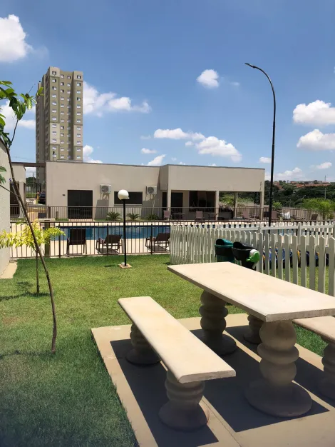 Alugar Apartamento / Padrão em São José do Rio Preto apenas R$ 1.200,00 - Foto 13