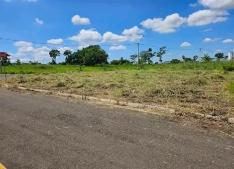 Terreno / Padrão em São José do Rio Preto 