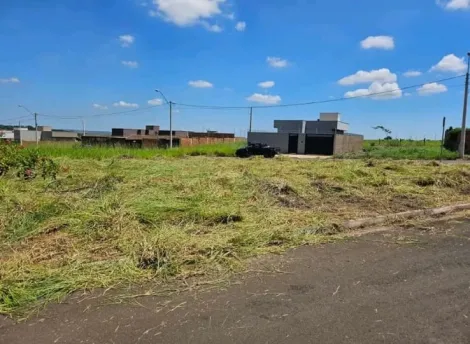 Comprar Terreno / Padrão em São José do Rio Preto apenas R$ 167.000,00 - Foto 3