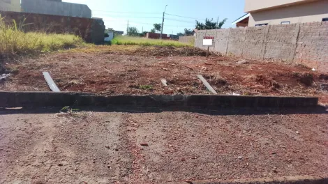 Terreno / Padrão em São José do Rio Preto 