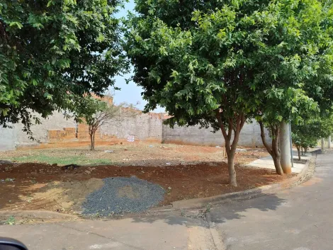 Terreno / Padrão em São José do Rio Preto 