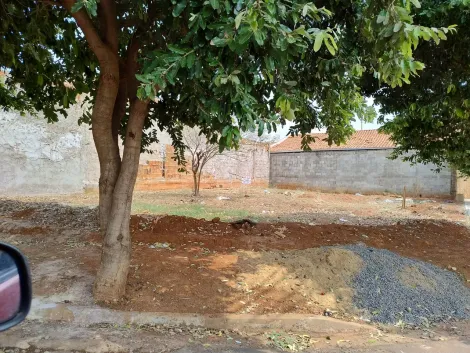 Comprar Terreno / Padrão em São José do Rio Preto apenas R$ 130.000,00 - Foto 2