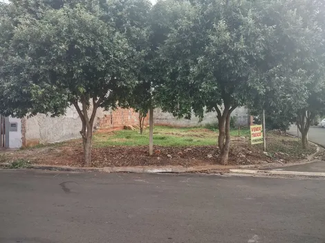 Comprar Terreno / Padrão em São José do Rio Preto apenas R$ 130.000,00 - Foto 3