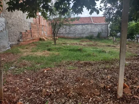 Comprar Terreno / Padrão em São José do Rio Preto apenas R$ 130.000,00 - Foto 4