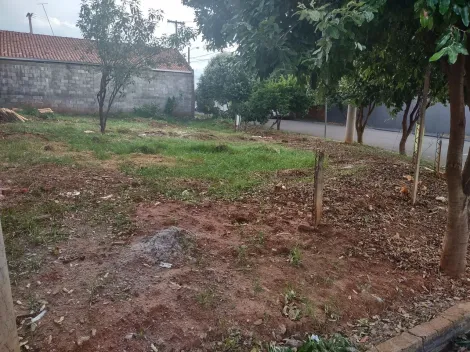 Comprar Terreno / Padrão em São José do Rio Preto apenas R$ 130.000,00 - Foto 5