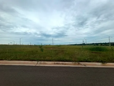 Comprar Terreno / Condomínio em São José do Rio Preto apenas R$ 350.000,00 - Foto 3