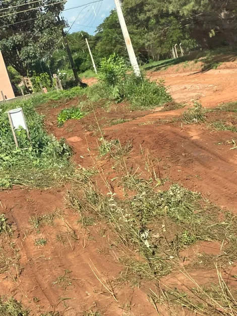 Comprar Terreno / Padrão em Fronteira apenas R$ 125.000,00 - Foto 4