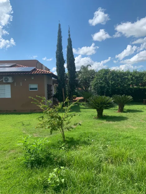 Comprar Casa / Padrão em Neves Paulista apenas R$ 1.650.000,00 - Foto 4