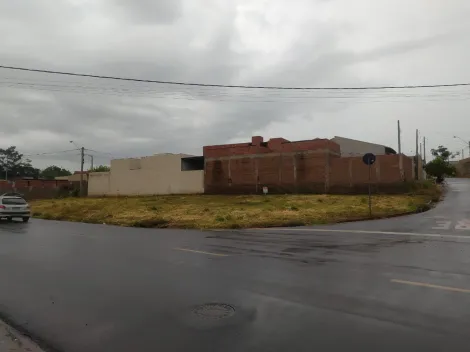 Terreno / Padrão em São José do Rio Preto 