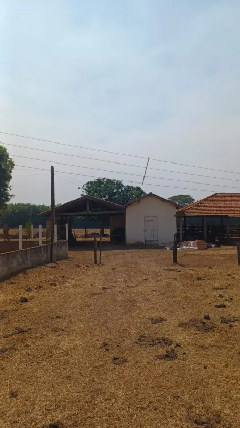 Rural / Sítio em Tanabi 